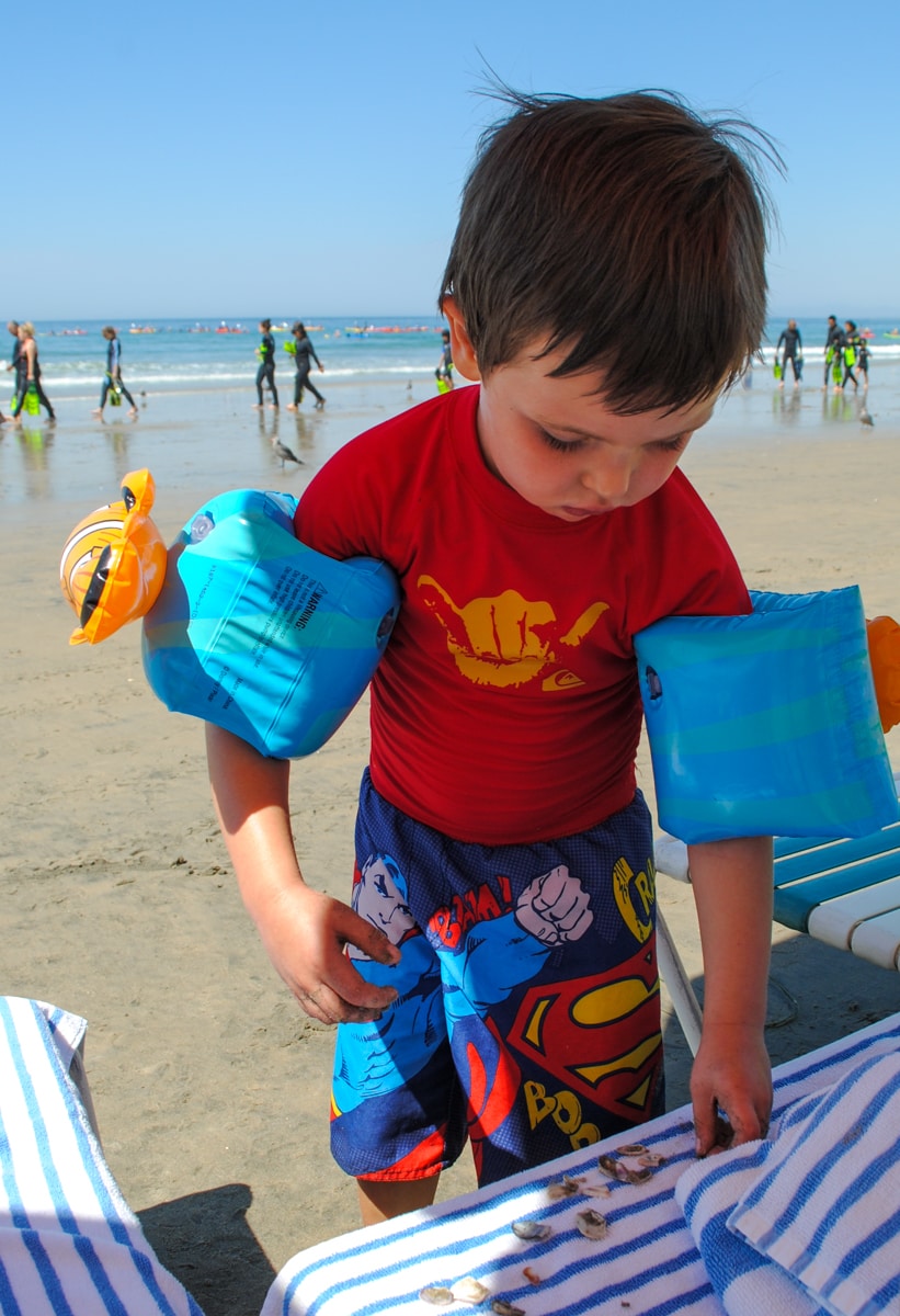 Seashell collecting at La Jolla Beach & Tennis Club with children