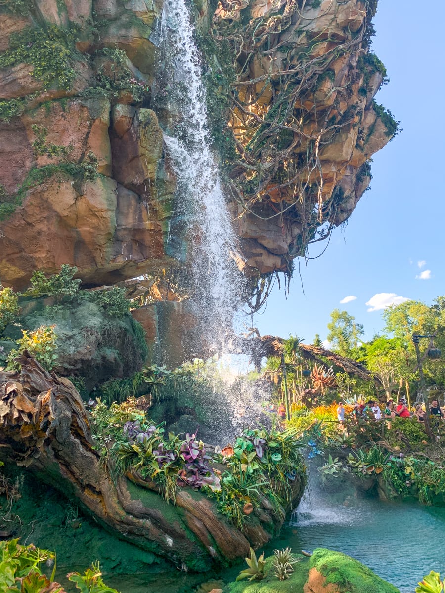 Pandora - The World of Avatar at Animal Kingdom