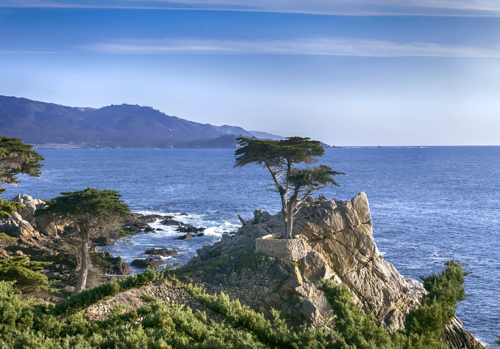 The Lone Cypress along the famous 17-Mile Drive 