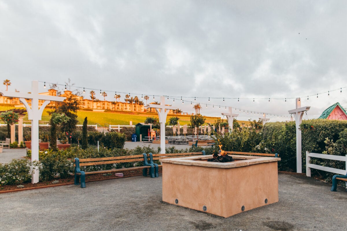 Garden at Carlsbad Flower Fields