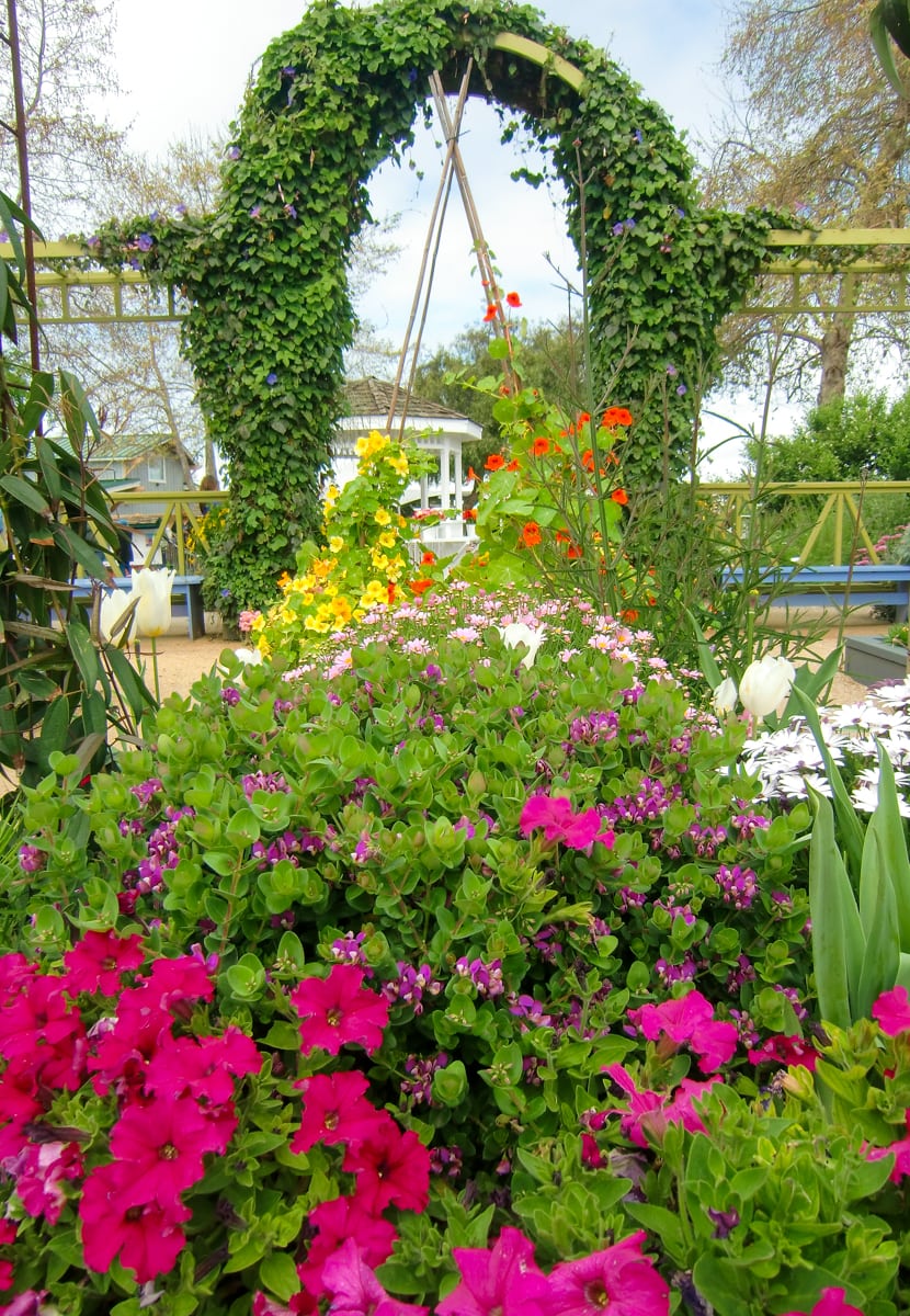 Artist Garden at Carlsbad Flower Fields