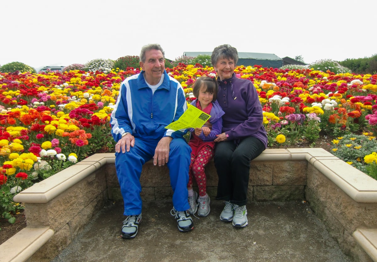 Little girl and grandparents at Carlsbad Flower Fields