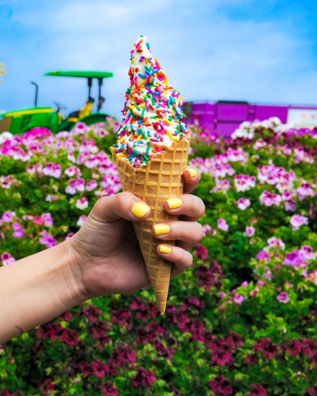 Ice cream cone from Sweet Swirls at The Flower Fields in Carlsbad