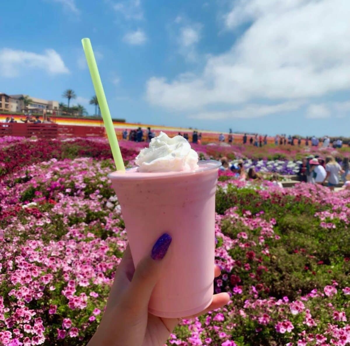 Strawberry shake from the Shake Shack