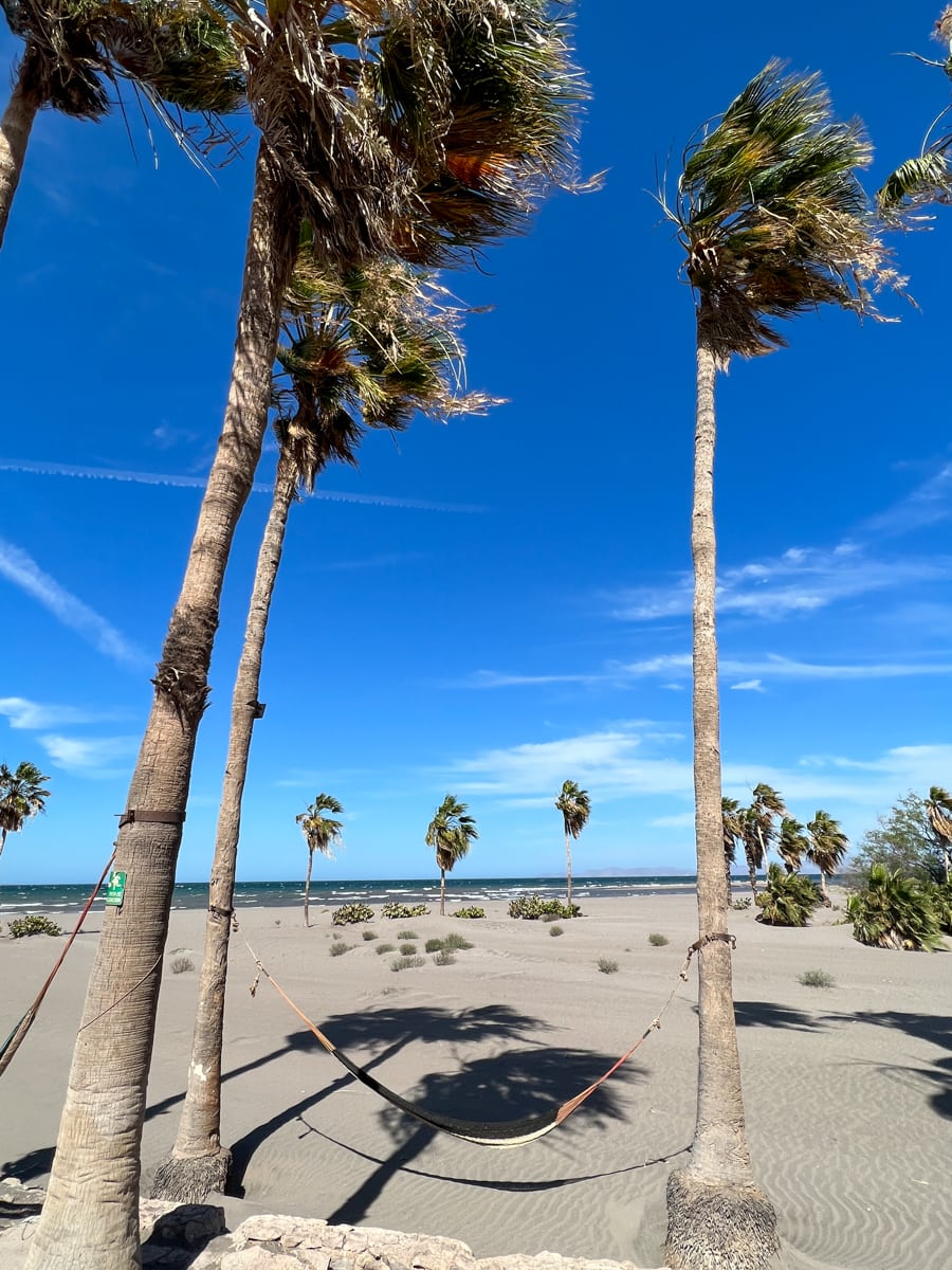 Beach at Hotel Oasis in Loreto, Mexico