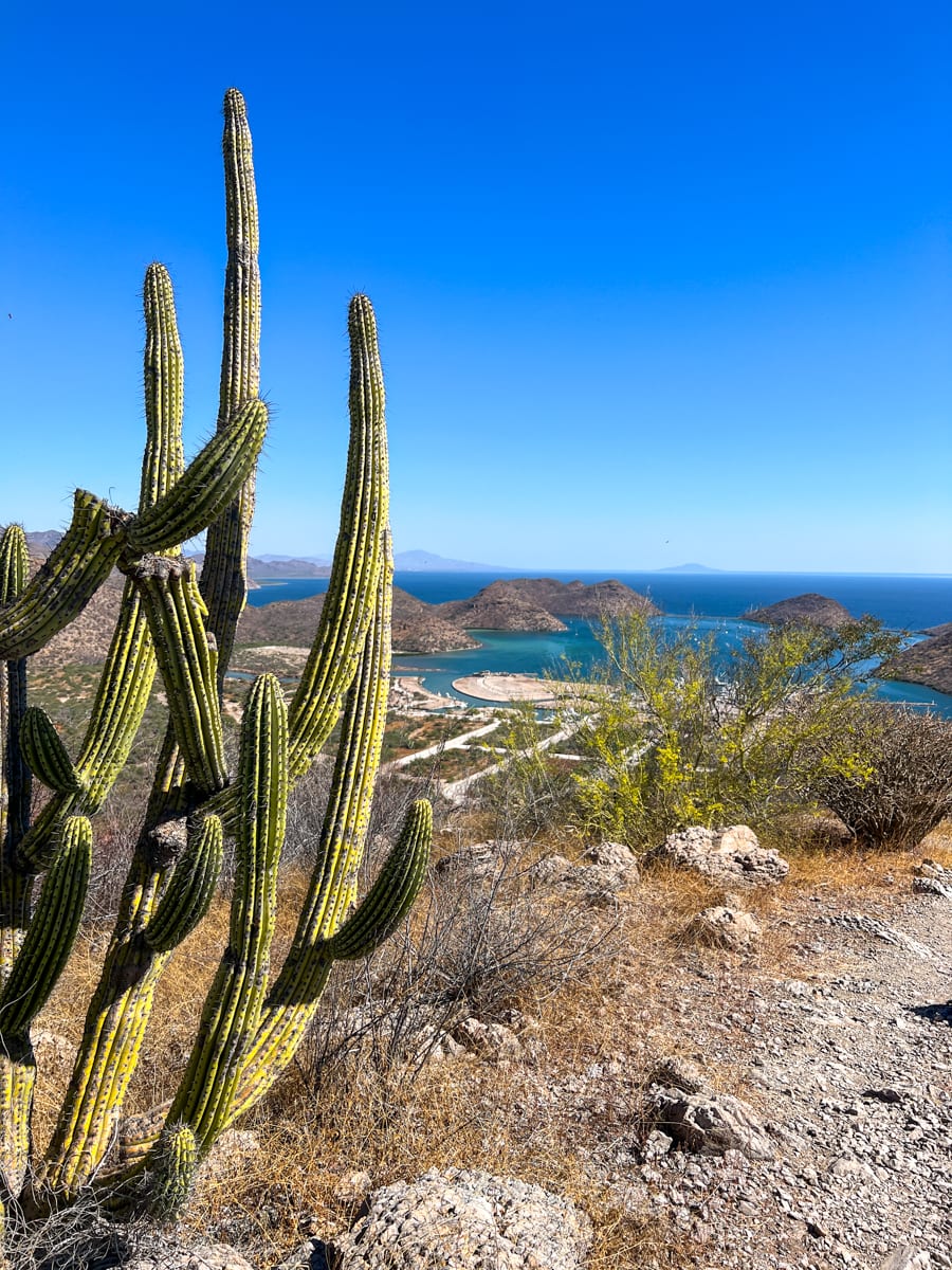 View of Puerto Escondido from a hiking trail in Tripui