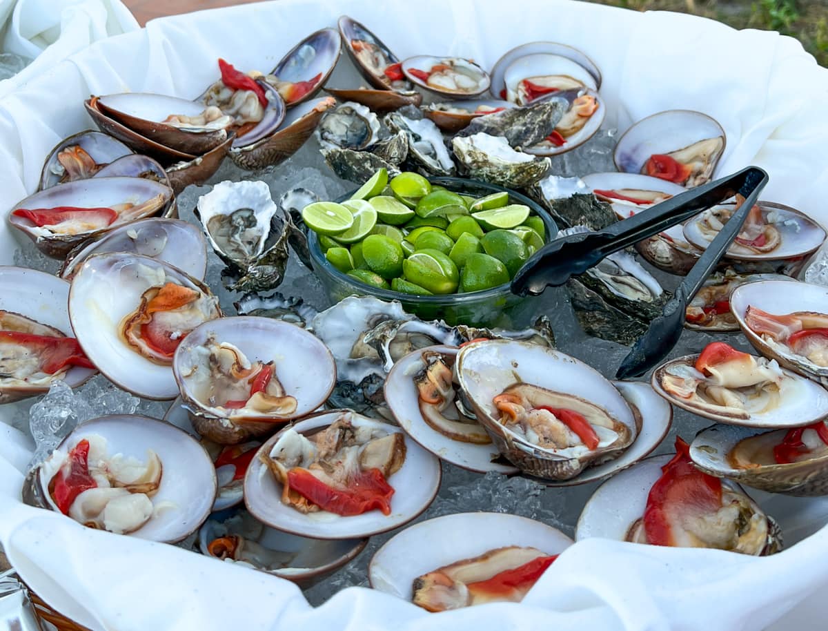 Chocolate clams on the half shell in Loreto