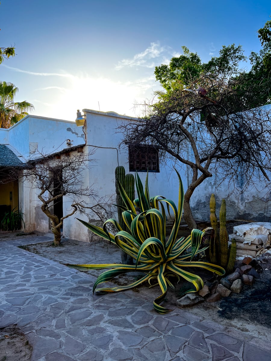 Courtyard at Museo de las Misiones de Baja California