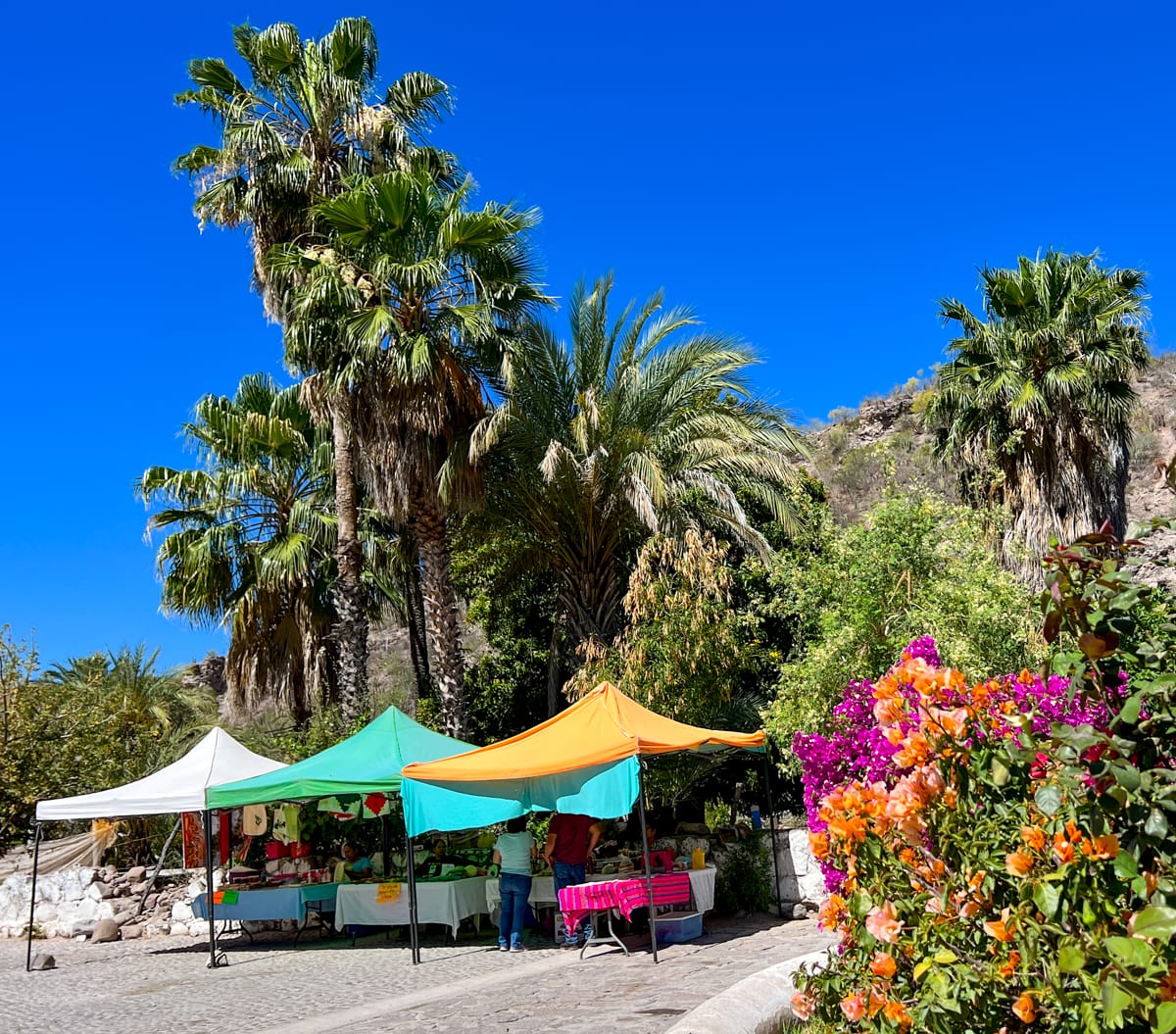 Local vendors in San Javier, Mexico