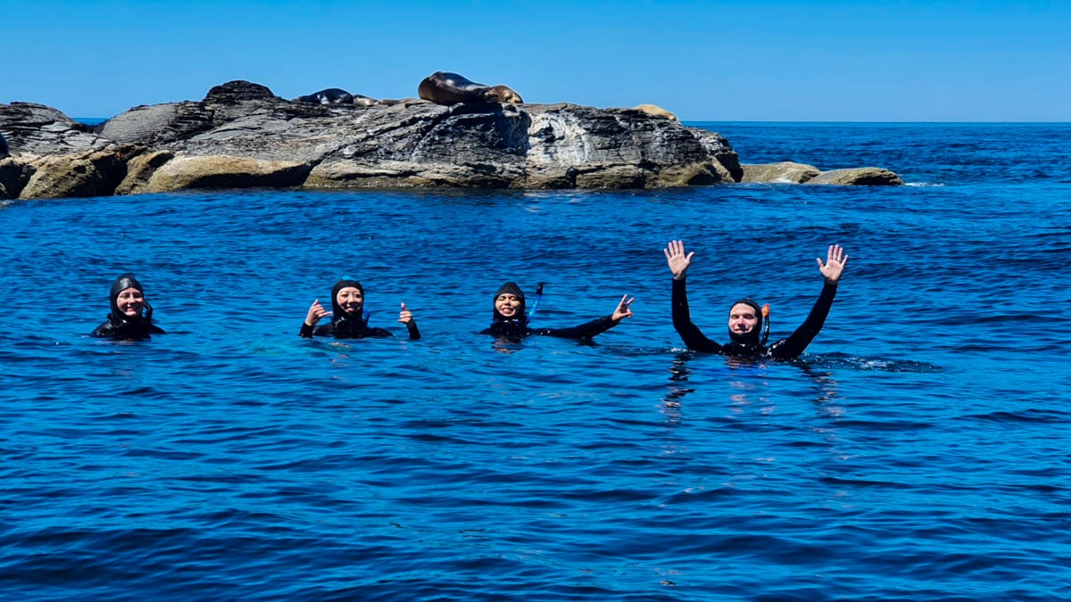 Snorkeling with sea lions in Loreto National Park 