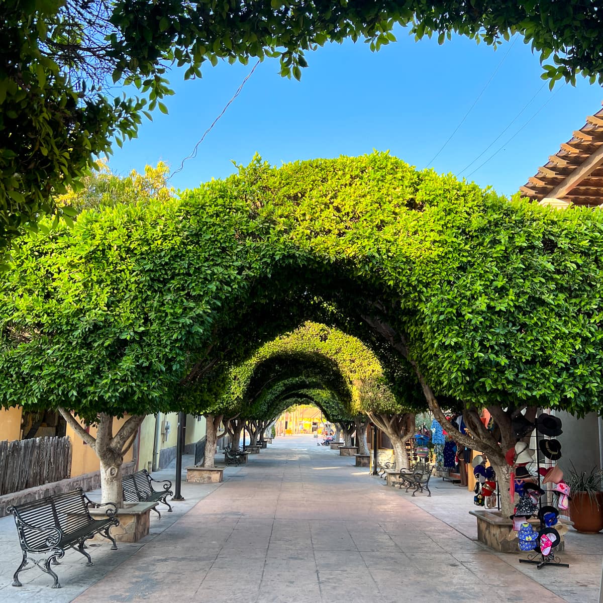 Pretty pedestrian shopping street in downtown Loreto 