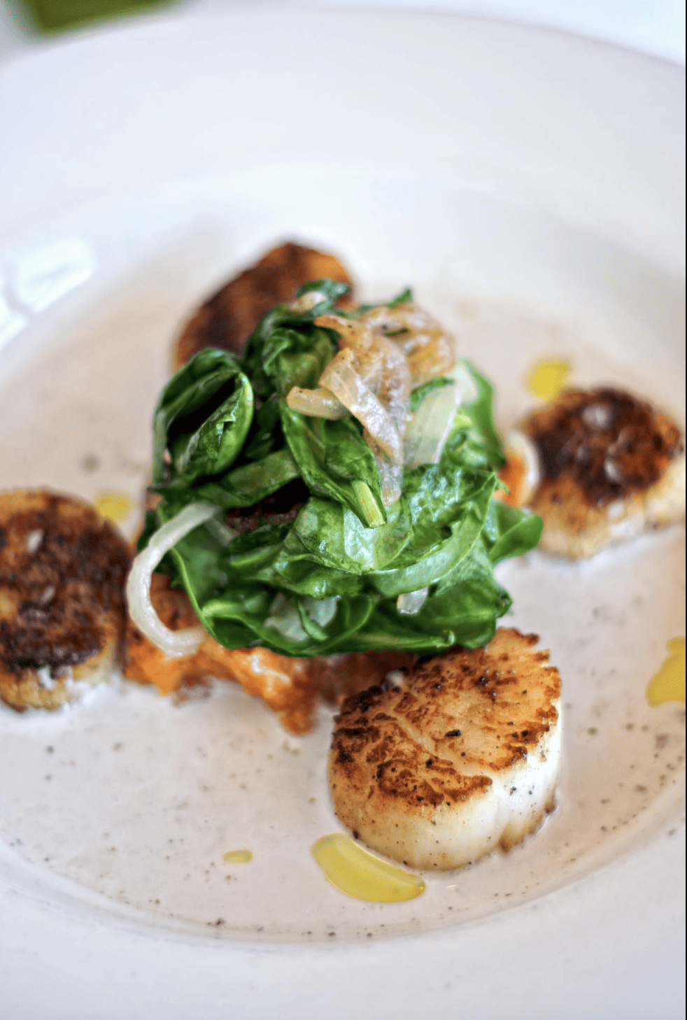 Oak Fired Jumbo Sea Scallops served in a tarragon butter sauce at Seasons Rotisserie and Grill