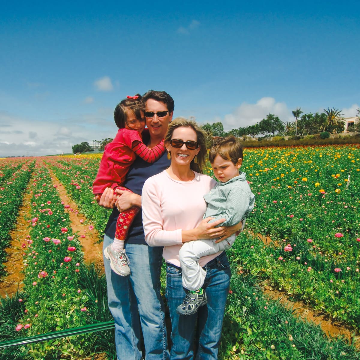 Things to do at Carlsbad Flower Fields