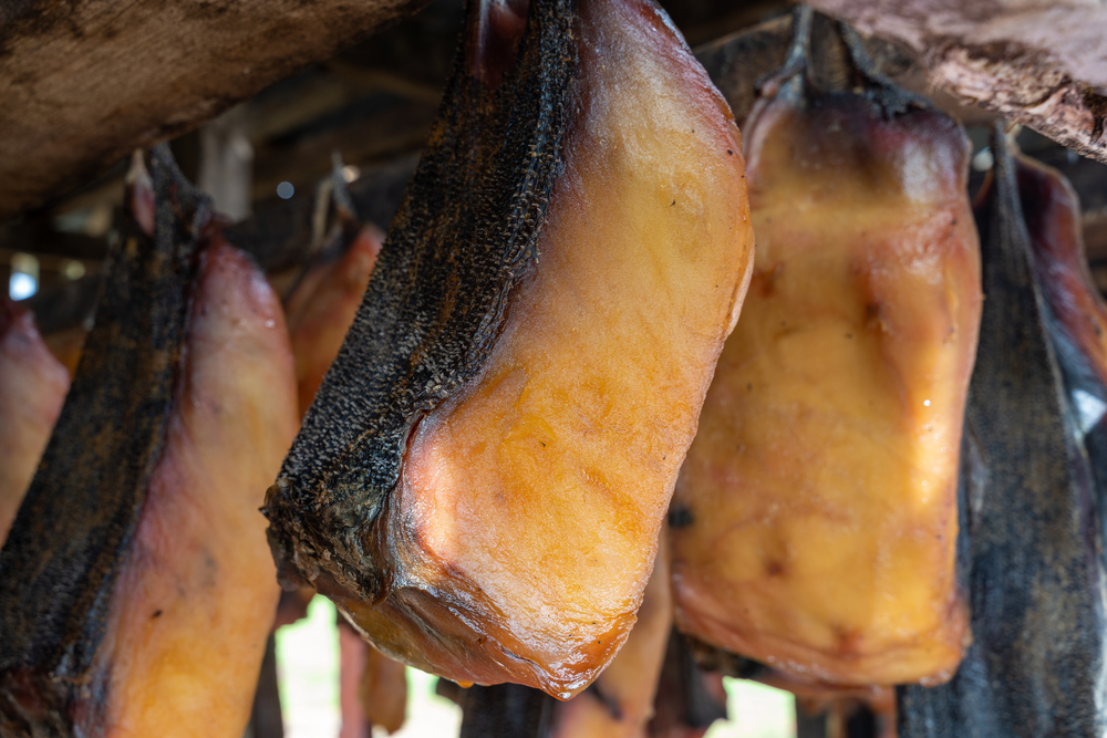 Fermented shark (Hakarl) hanging to dry in Iceland