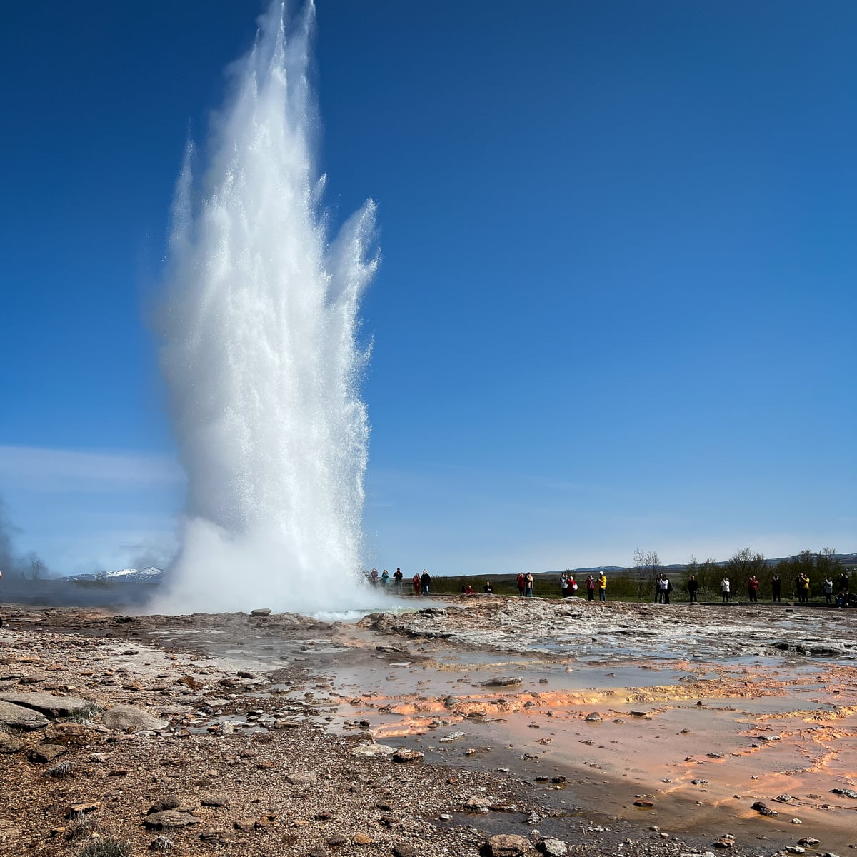 Strokkur Geyser, the most active geyser in Iceland's Golden Circle