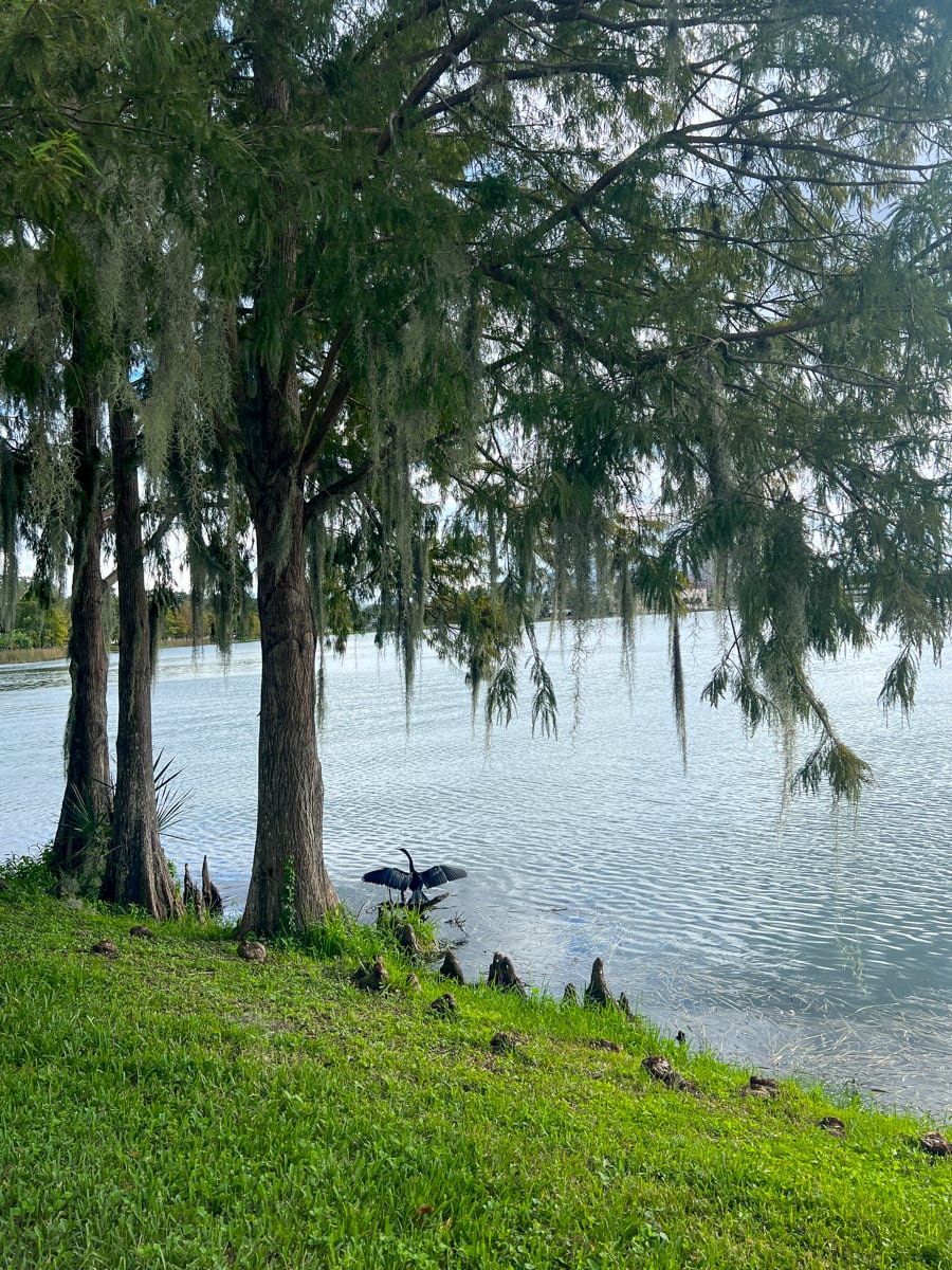 Lake Ivanhoe in Orlando 