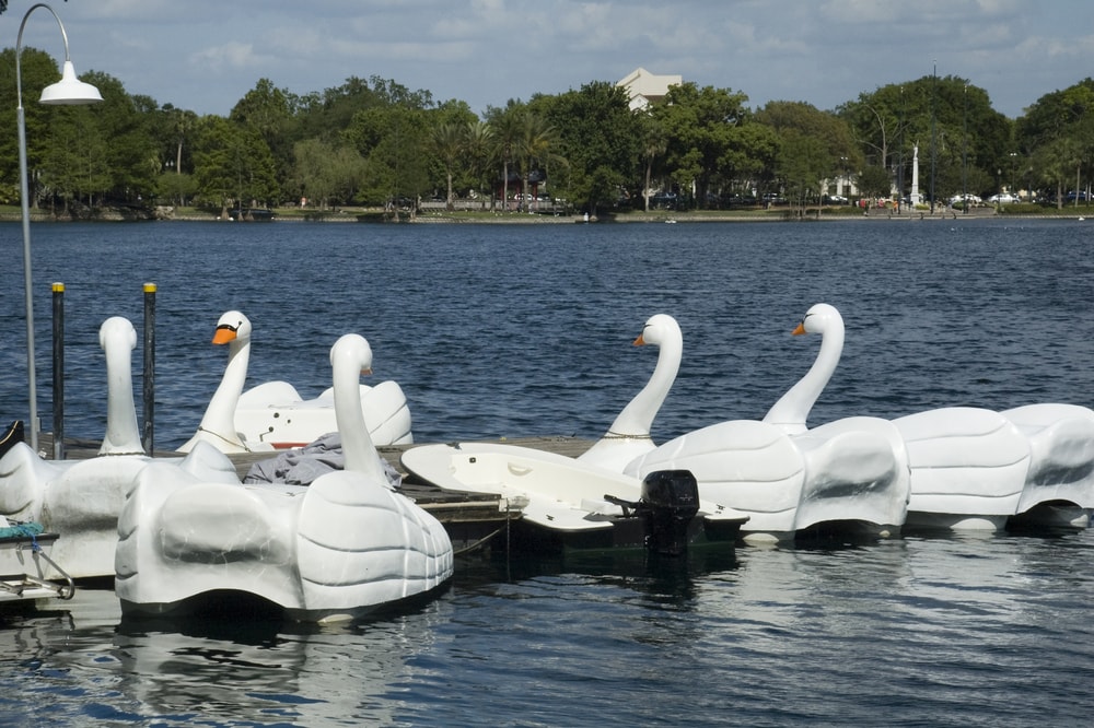 Swan boats at Lake Eola Park in Orlando