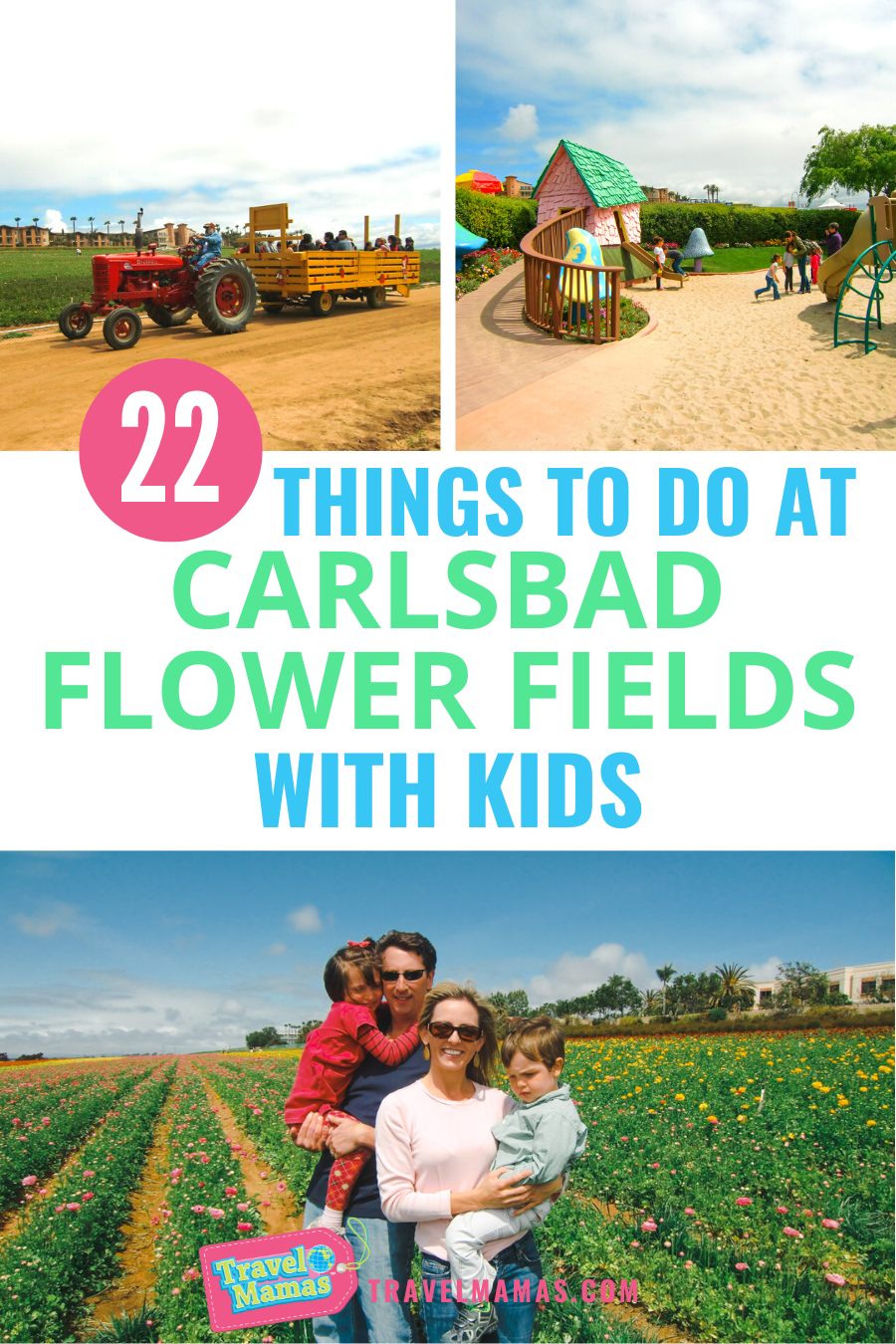 Things to Do at Carlsbad Flower Fields with Kids