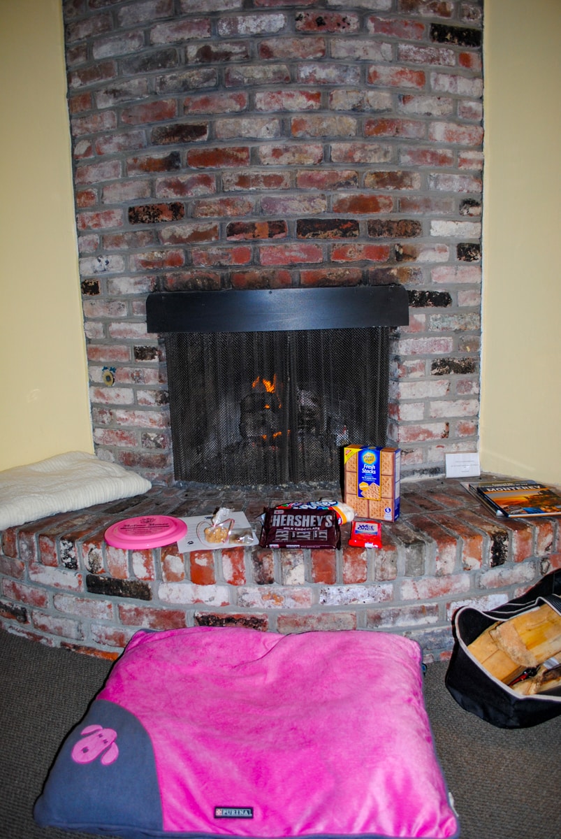 Fireplace with pet supplies and s'mores fixings at Hofsas House