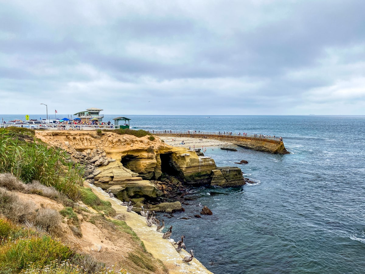 The Children's Pool in La Jolla