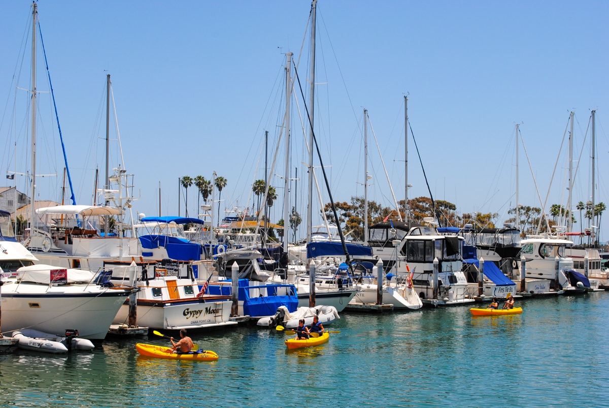 Kayakers at Dana Point Harbor