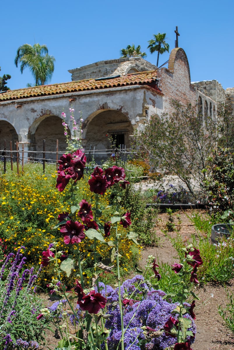 Mission San Juan Capistrano Garden