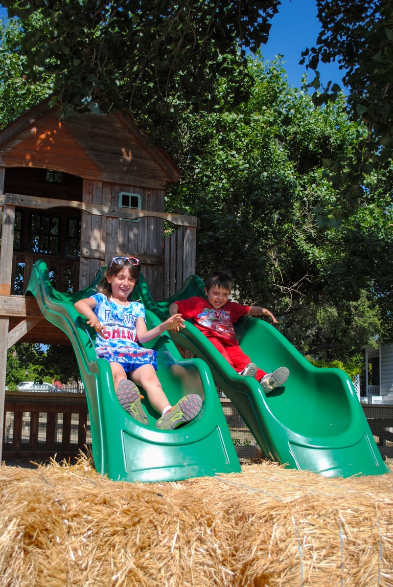 Children at Zoomars Petting Zoo in San Juan Capistrano