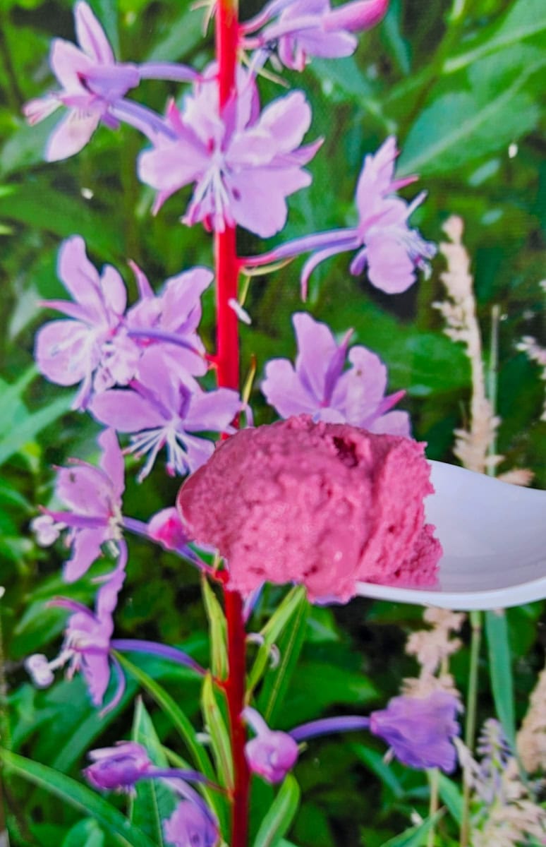 Fireweed ice cream from Shirley's Northern Lights Gourmet Ice Cream