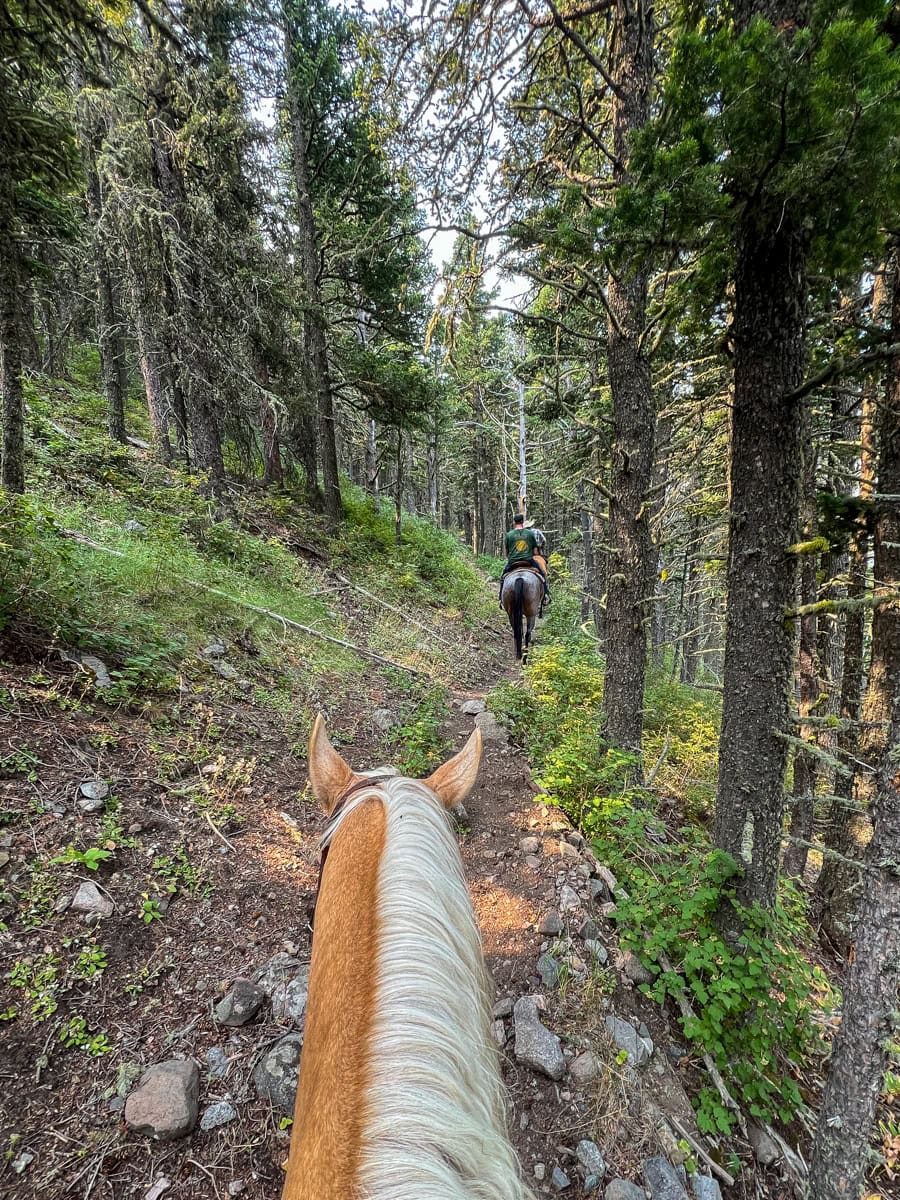 Trail ride with Sweet Grass Ranch in Big Timber