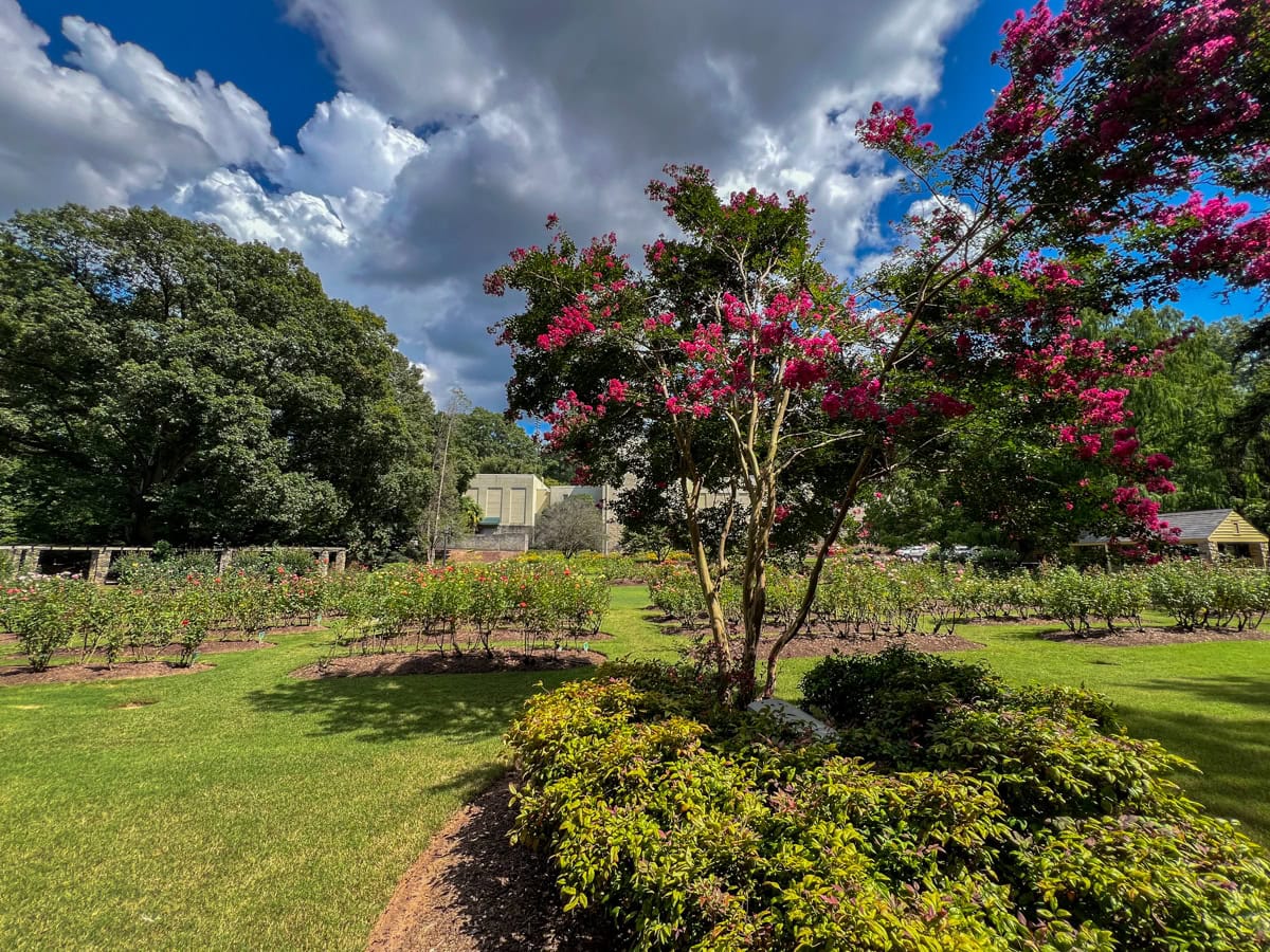 Raleigh Municipal Rose Garden