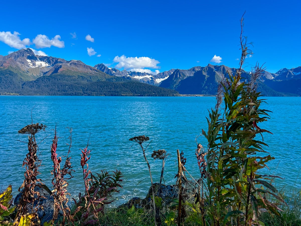 Resurrection Bay in Seward, AK