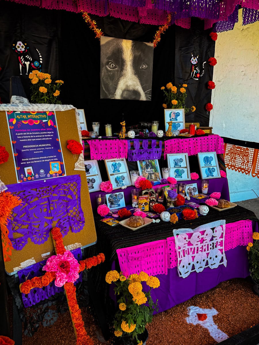 An ofrenda to pets on Calle Paseo Diaz Ordaz in Puerto Vallarta