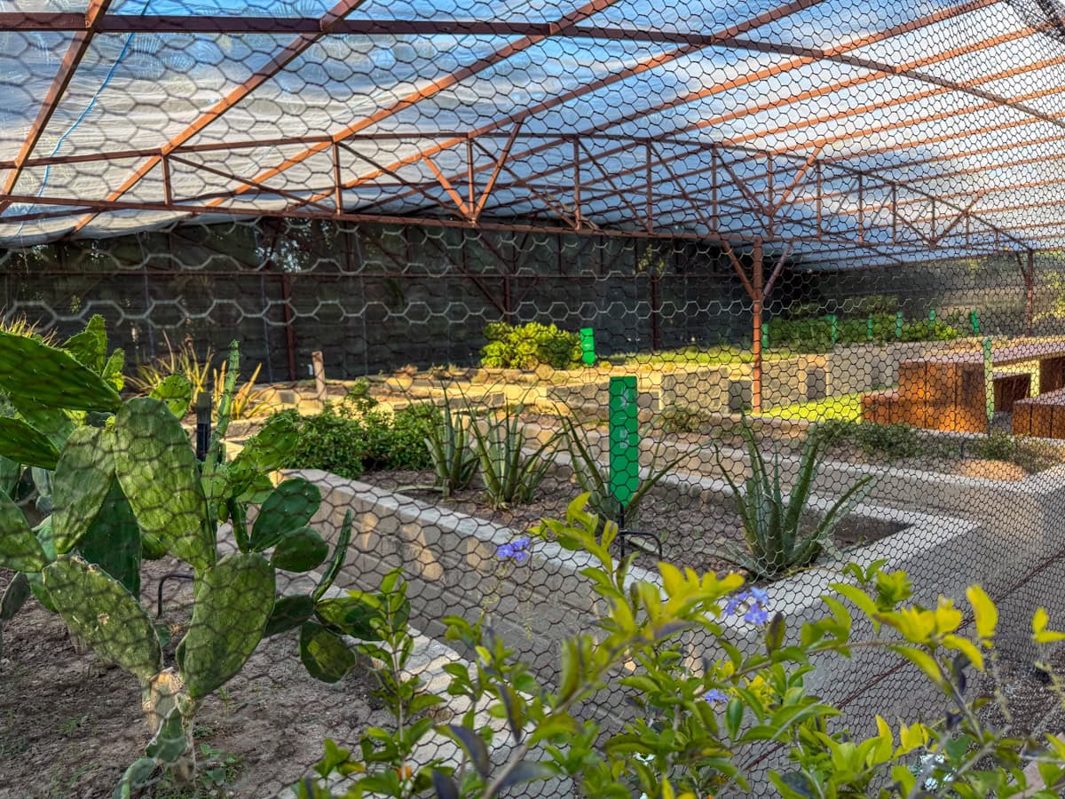 Greenhouse garden at Casa Velas