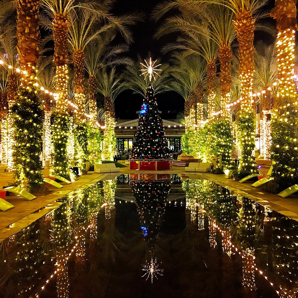 Christmas tree and holiday lights at Scottsdale Quarter 