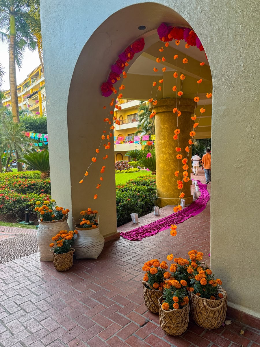 Marigolds, symbolizing Día de los Muertos at Velas Vallarta