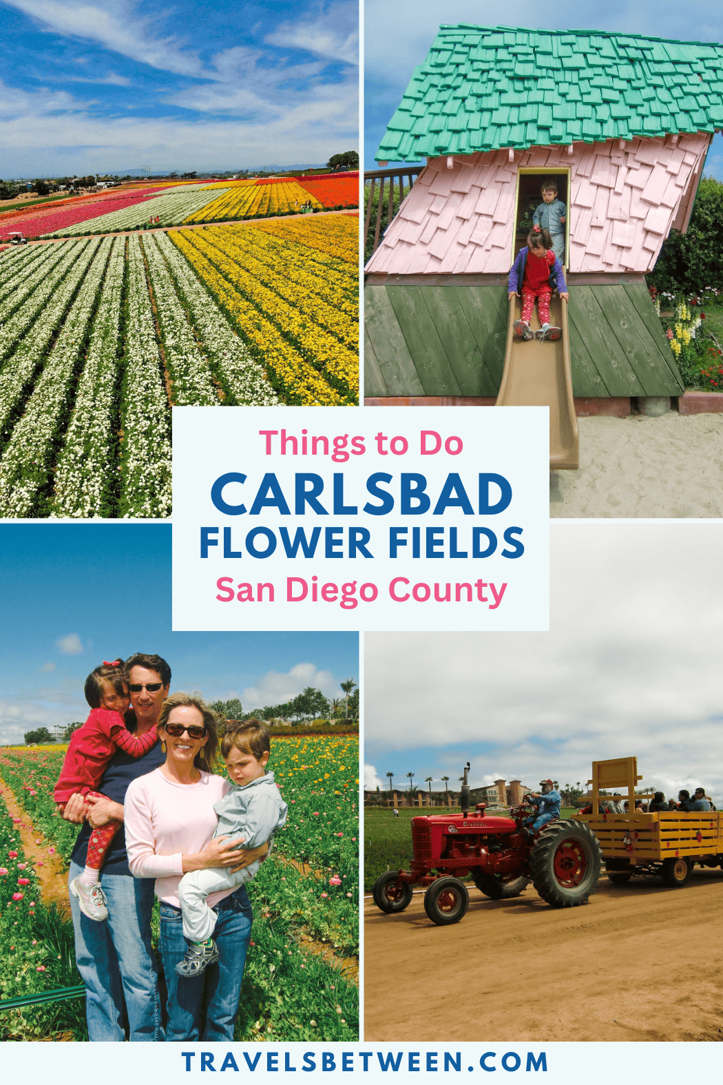 Things to Do Carlsbad Flower Fields San Diego County