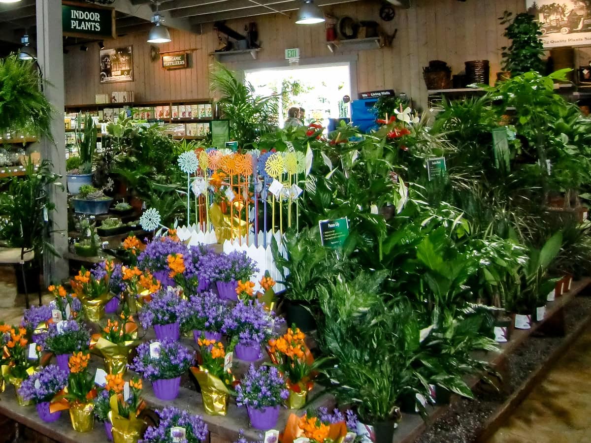 Armstrong Garden Center at the Carlsbad Flower Fields 