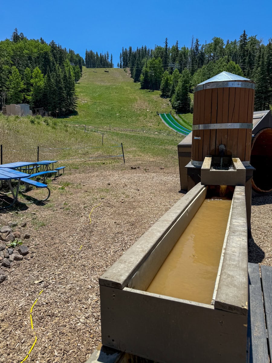 Treasure Panning at Snowbowl