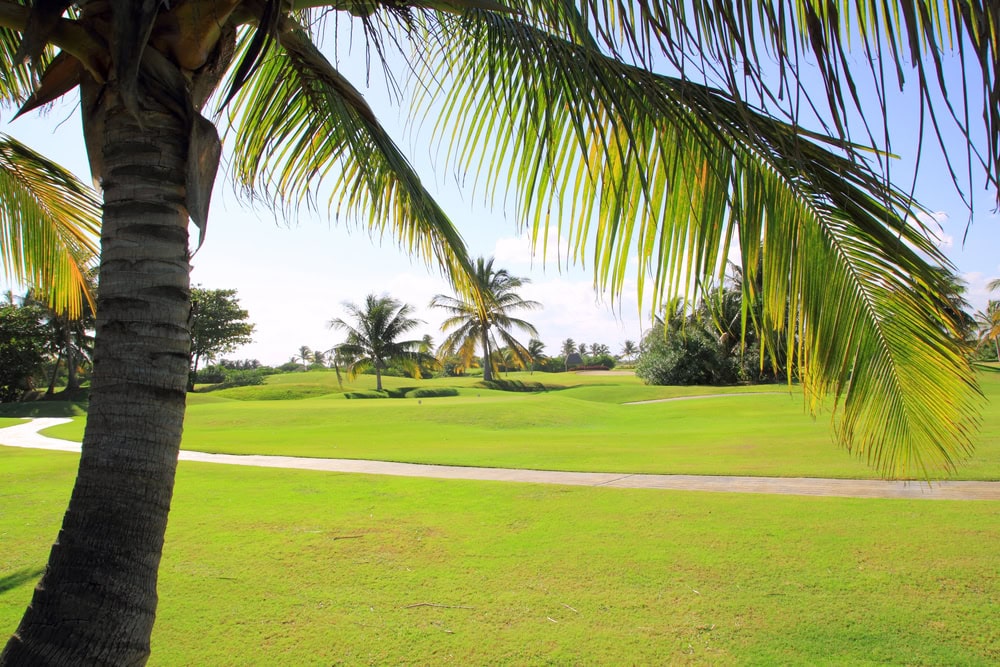 Golf course in Cancun