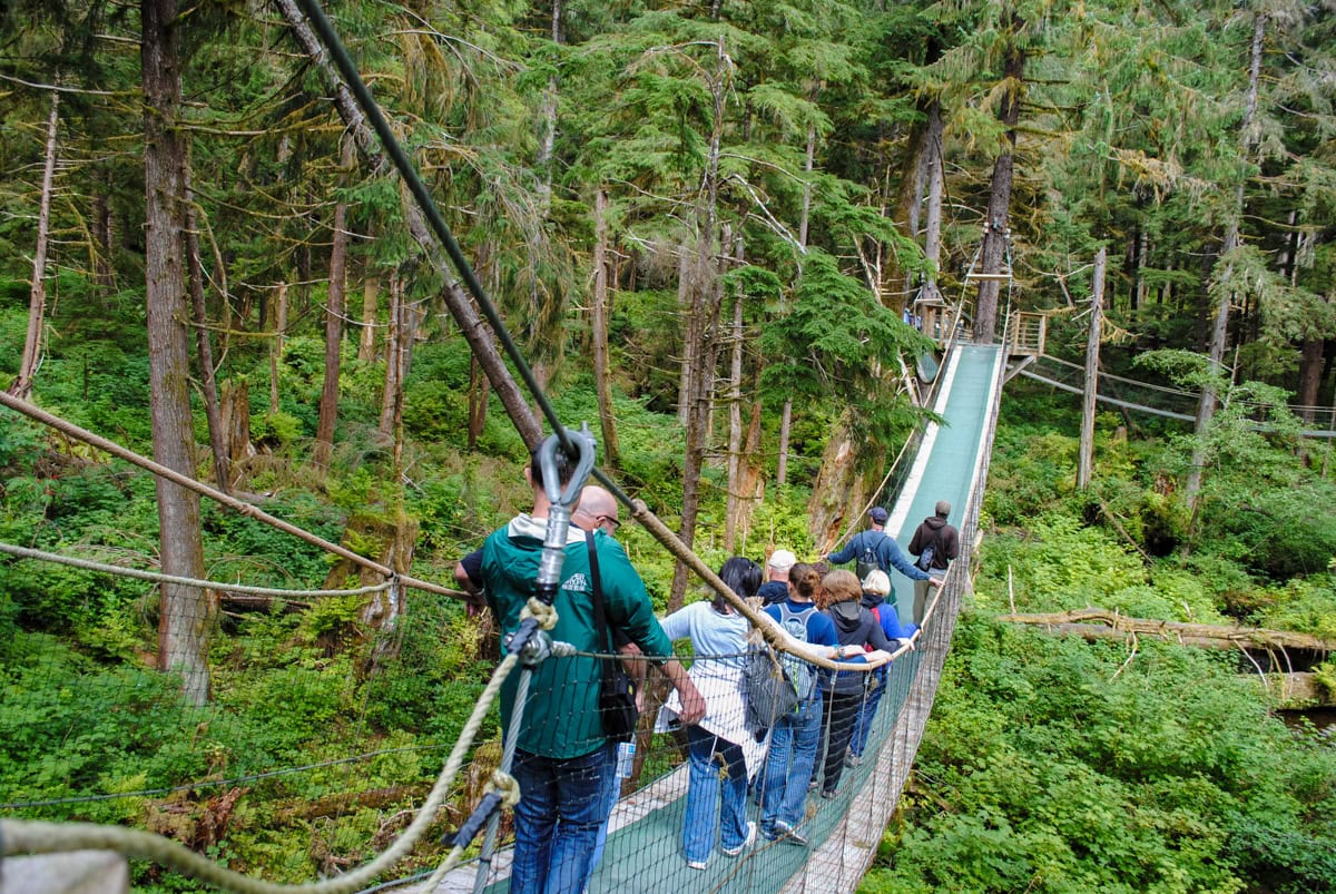 Guided black bear-viewing group at Herring Cove near Ketchikan, Alaska