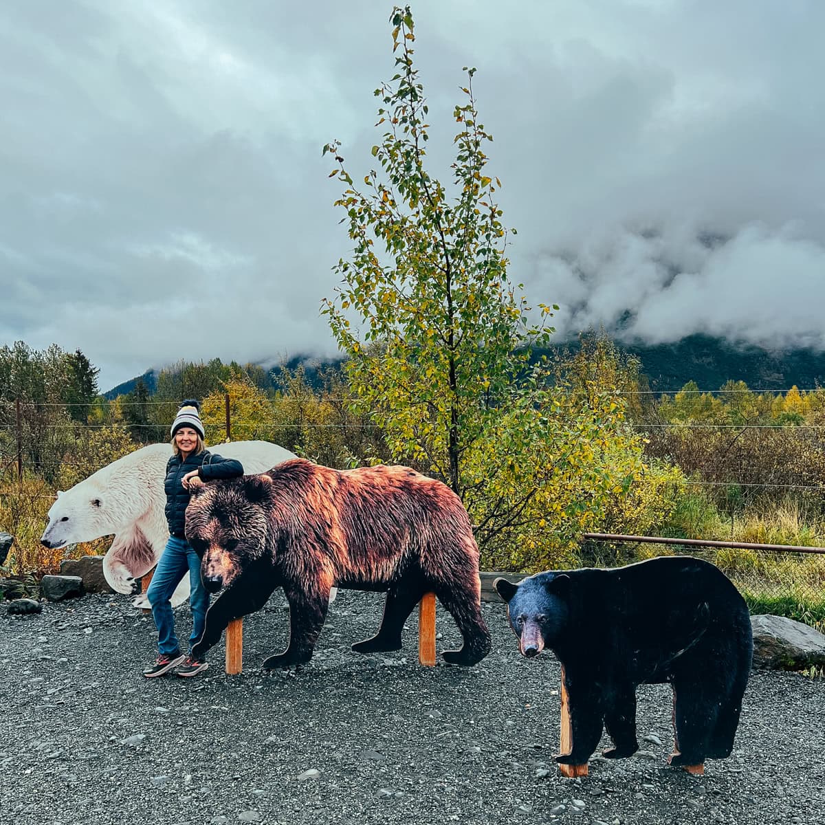 Three types of bears found in Alaska: black, brown, and polar