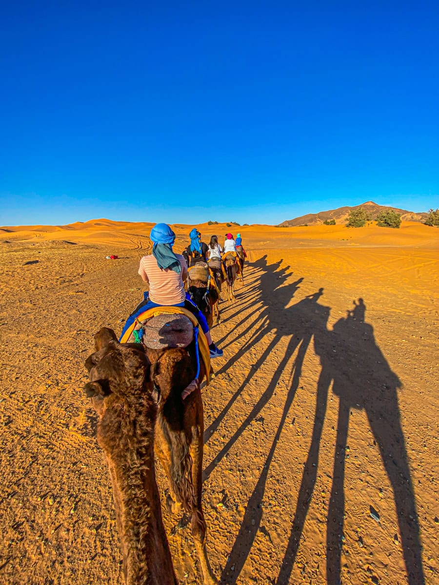 Camel ride with kids in the Sahara Desert in Morocco