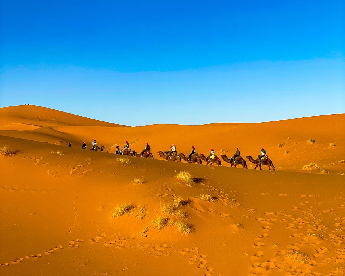 A camel safari with kids in Morocco's Sahara Desert