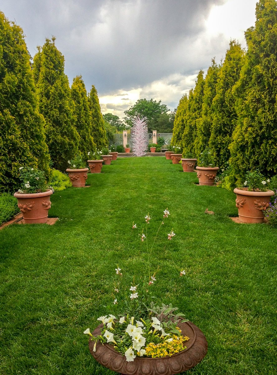 A temporary Chihuly glass sculpture at Denver Botanic Gardens 