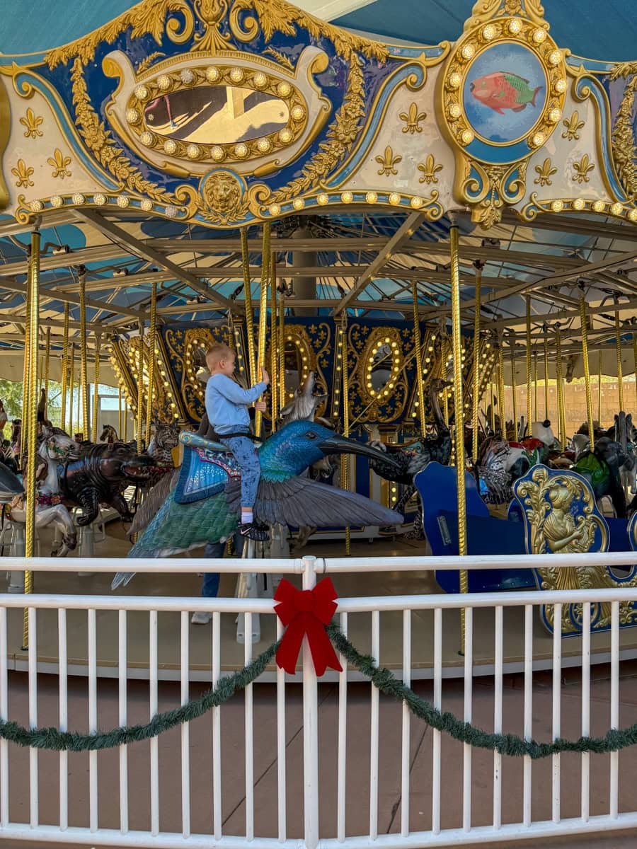 The Boardwalk Carousel at Arizona Boardwalk