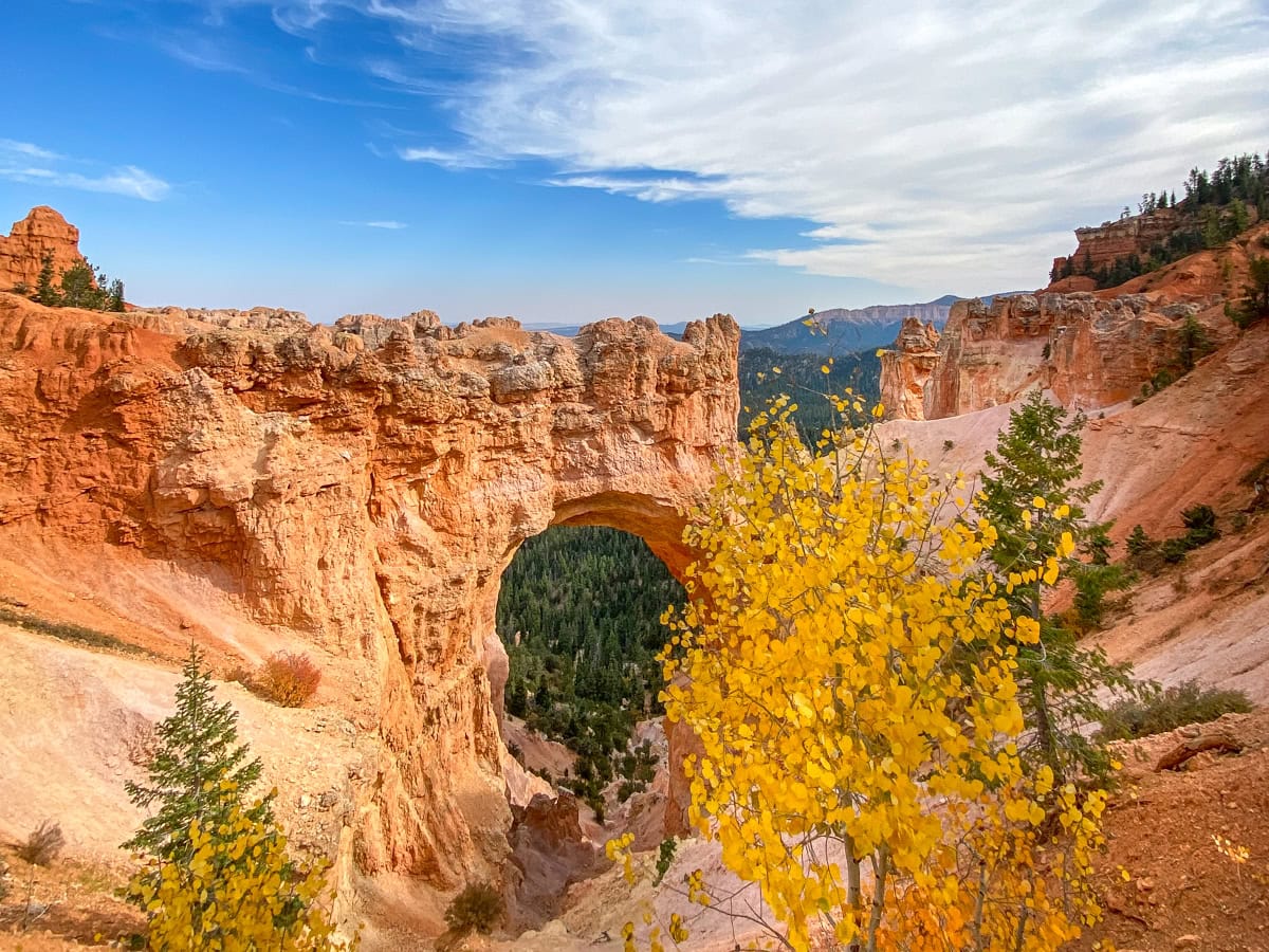 Bryce Canyon National Park's Natural Bridge 