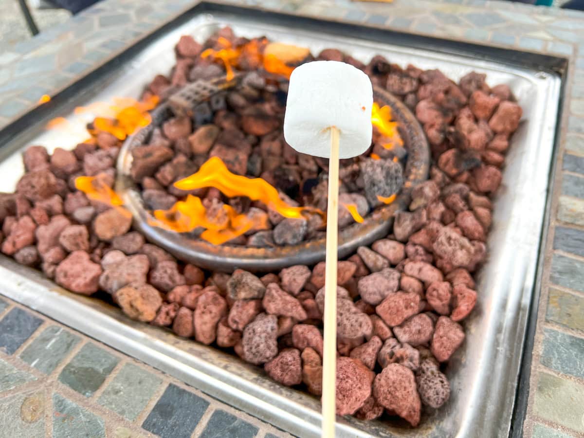 Roasting a marshmallow over a fire pit