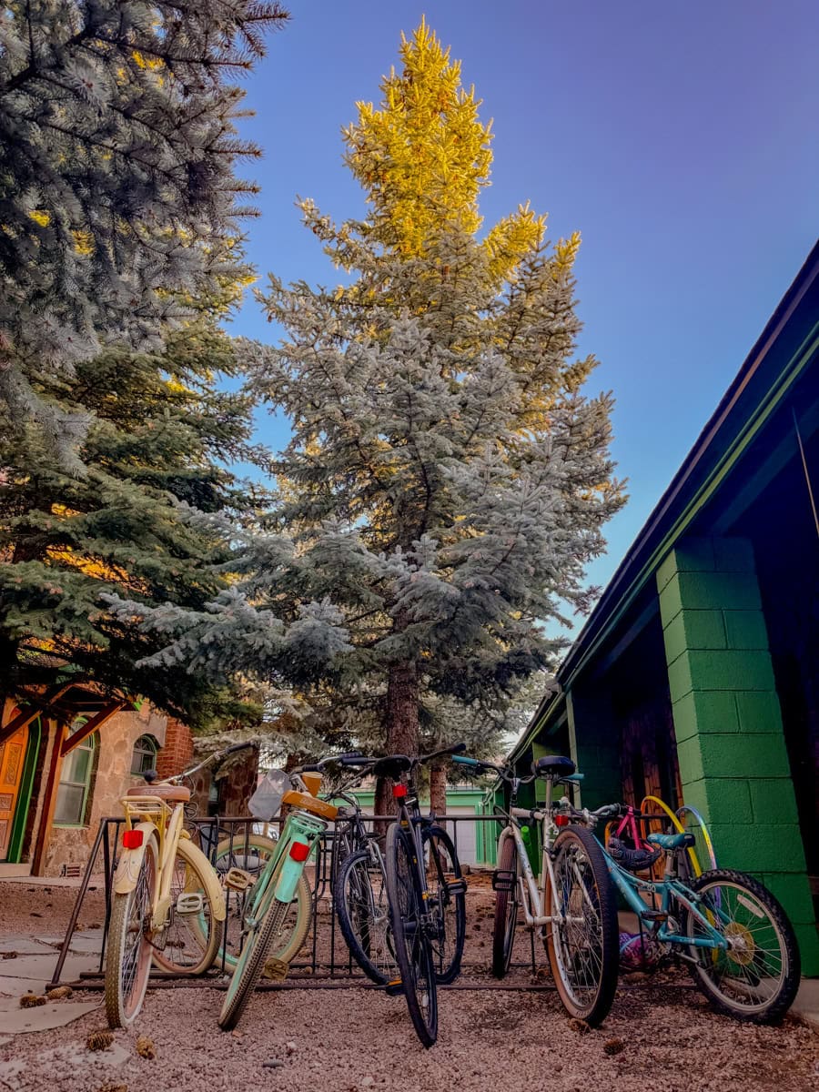 Bicycles and pines in Flagstaff, Arizona