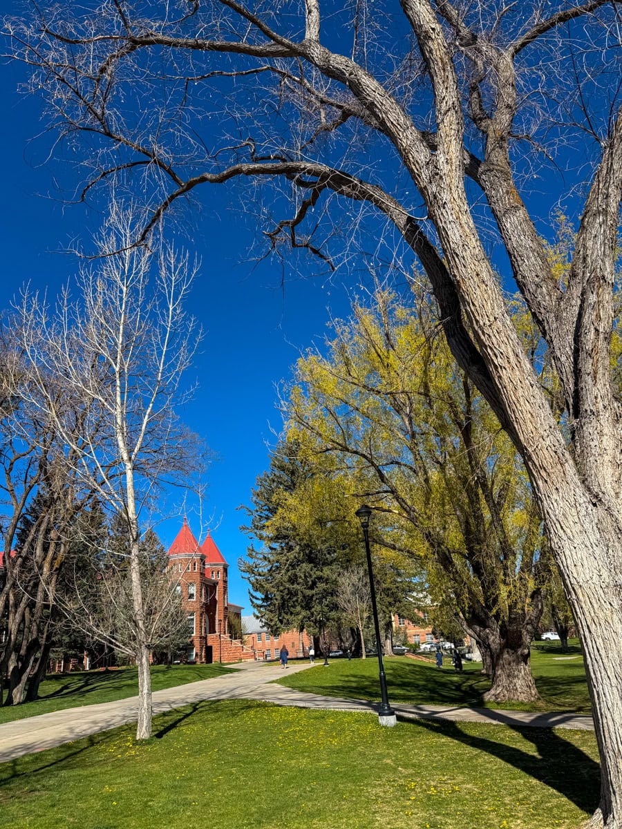 25 Best Things to Do in Flagstaff, Arizona