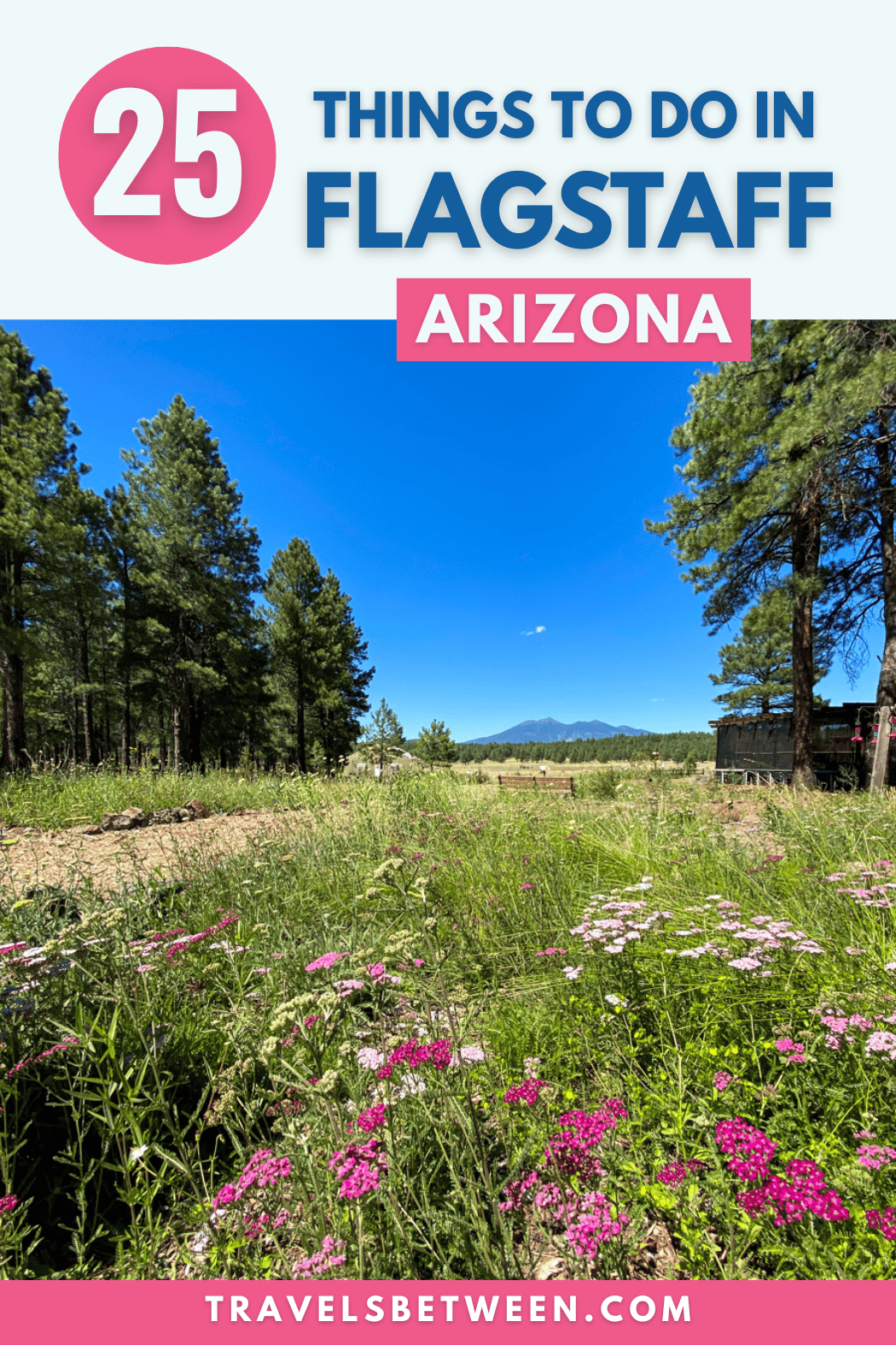 25 Things to Do in Flagstaff, AZ